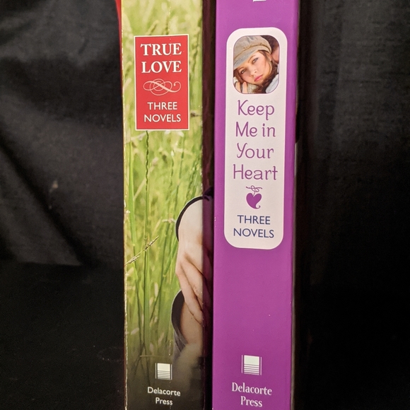 Keep Me in Your Heart x True Love Novel Books - Picture 4 of 6